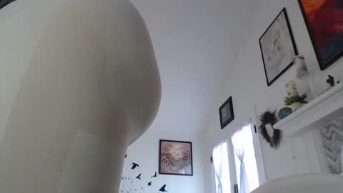 Aurora Willows online show from January 19, 3:27 pm