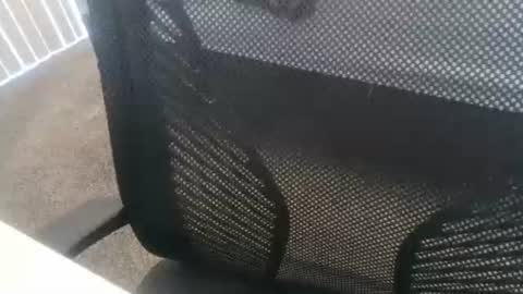 Snapshot of 1chris505 chatting on January 2, 6:01 pm 1chris505 online show from January 2, 6:01 pm