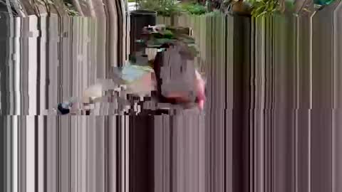 Snapshot of 1nine6nine chatting on March 2, 9:32 pm BiHungThickCock69 online show from March 2, 9:32 pm