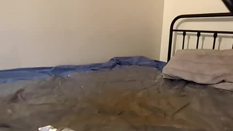 1toxiclust online show from November 29, 2:36 am