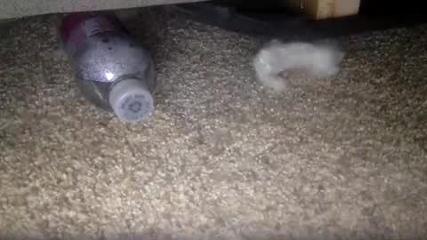 30nick online show from February 10, 4:16 am