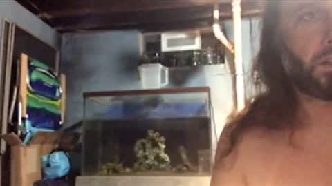 33adidas online show from November 26, 8:48 am