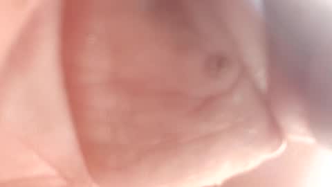 Snapshot of 3this88guy chatting on February 12, 7:24 pm Thisguy online show from February 12, 7:24 pm