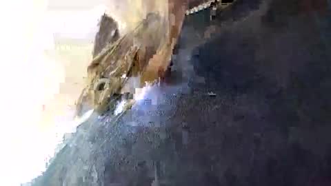 3X NAXAA online show from January 16, 1:59 pm