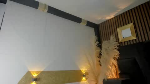 3X NAXAA online show from February 2, 1:10 pm