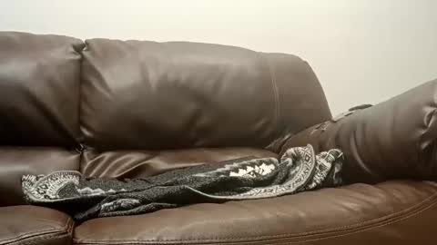 50groupauto online show from January 14, 12:05 am