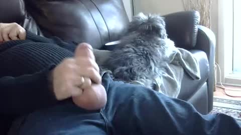 66bear online show from March 2, 10:05 pm