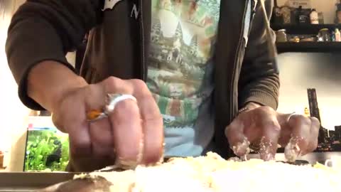 6990fiko online show from February 1, 5:47 pm