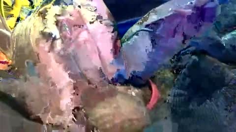 6990fiko online show from October 27, 11:58 am