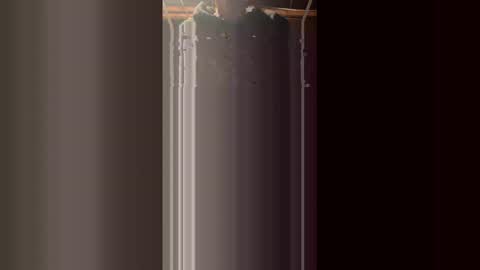 69bidam online show from January 18, 12:20 pm