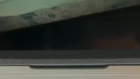 FUCKR online show from October 17, 8:06 am