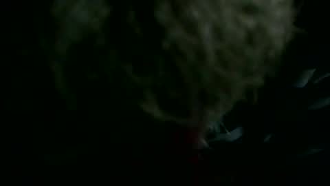 Snapshot of 69sextoyboy69 chatting on December 23, 5:38 am 69sextoyboy69 online show from December 23, 5:38 am