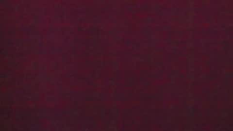 Snapshot of 777_brendi_777 chatting on January 31, 7:50 am Brendi online show from January 31, 7:50 am