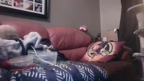 Snapshot of 7inchking269 chatting on February 28, 2:45 am 7inchking269 online show from February 28, 2:45 am