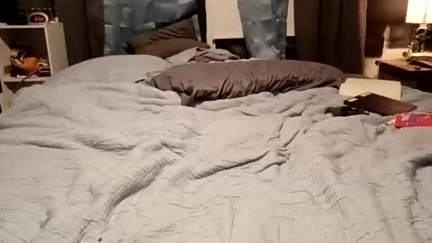 7lairddip online show from February 15, 7:51 am