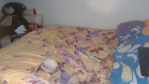 SunFlower online show from December 18, 12:38 am