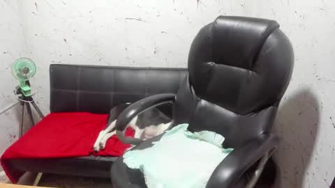     ----       online show from March 7, 5:04 am