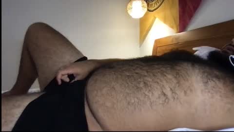 Snapshot of _alan_bear_ chatting on June 2, 3:58 pm Alan online show from June 2, 3:58 pm