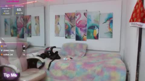 Snapshot of _alegriamartinez_ chatting on February 19, 9:58 pm _alegriamartinez_ online show from February 19, 9:58 pm