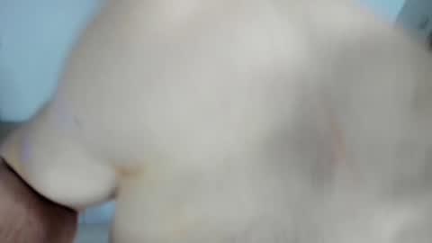 Alex online show from January 28, 12:54 pm