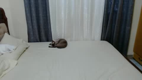 Amber online show from December 1, 9:26 pm