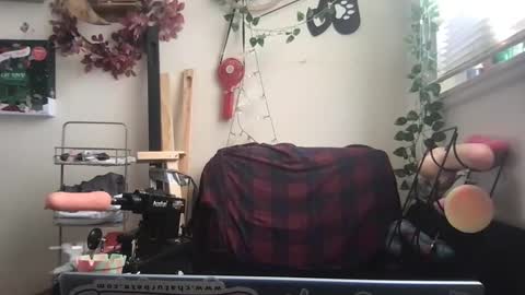 Snapshot of _bandit_b0y chatting on December 26, 3:31 pm bandit online show from December 26, 3:31 pm