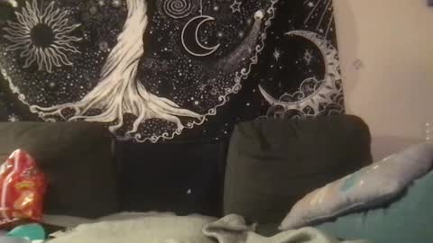 Snapshot of _bandit_b0y chatting on February 1, 2:05 am bandit online show from February 1, 2:05 am