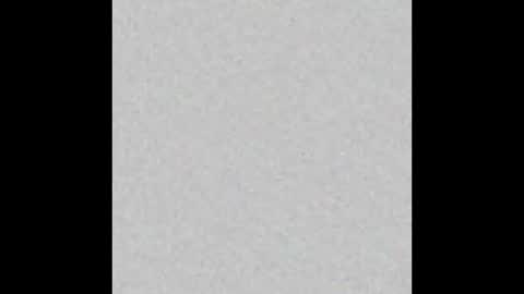 Brenda online show from October 8, 12:03 pm