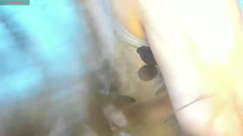 Mily online show from February 15, 9:15 pm