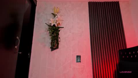 Snapshot of _oliviawilde chatting on February 3, 10:09 am Mariana online show from February 3, 10:09 am