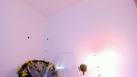 Sam   --- next stream 1 dic  food and vino show . online show from February 7, 8:10 pm