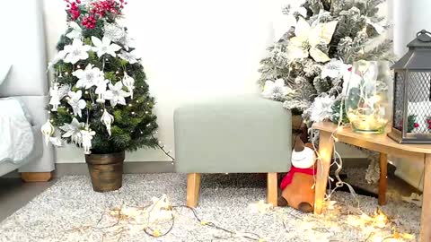 Sassy Girl online show from December 26, 6:33 pm