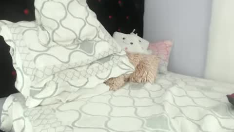 Alexa online show from January 29, 6:50 pm