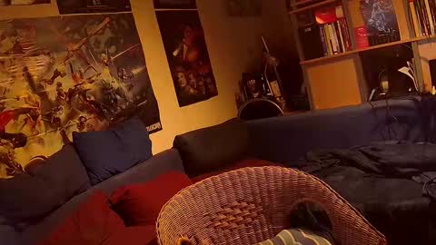 Sven online show from November 20, 10:31 pm