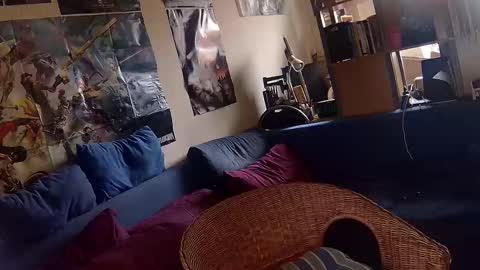 Sven online show from November 26, 1:01 pm