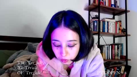 Snapshot of _trriak_ chatting on November 16, 4:07 am luna online show from November 16, 4:07 am