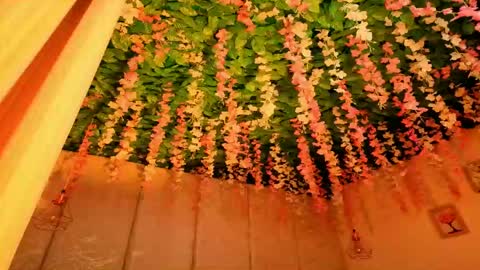   online show from April 12, 11:37 am