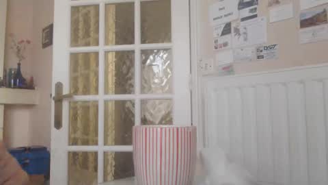 Aalex1717 online show from January 14, 8:53 am