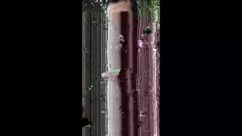 abdulwaris7072 online show from March 15, 6:41 am