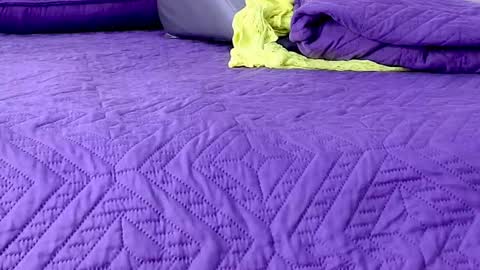 Abigail online show from January 8, 2:58 am