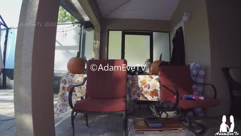 Snapshot of adamevetv chatting on November 1, 8:33 pm Adam And Eve online show from November 1, 8:33 pm