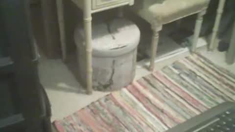 adamsny online show from November 4, 8:46 am