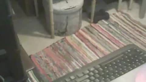 adamsny online show from November 9, 6:55 am