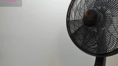 adbel sady online show from October 28, 11:14 am