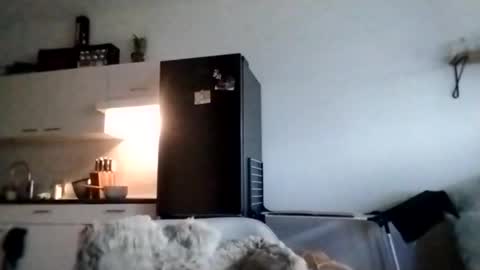 I love a little angel online show from November 28, 10:18 am