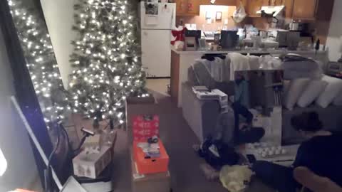 adorable22 online show from December 20, 10:22 pm