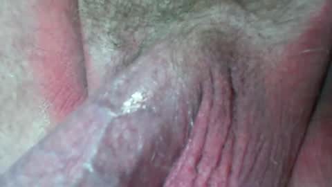 This is a temp room please follow excelsior62 by clicking the link below online show from December 23, 7:17 am