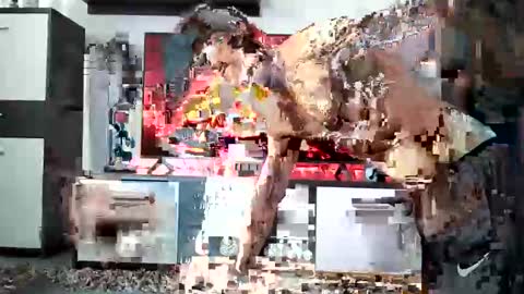 Adriano online show from December 28, 8:58 am