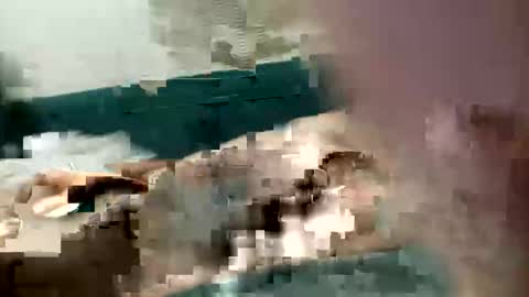 Snapshot of adrodiarellano chatting on October 13, 2:22 am adrodiarellano online show from October 13, 2:22 am