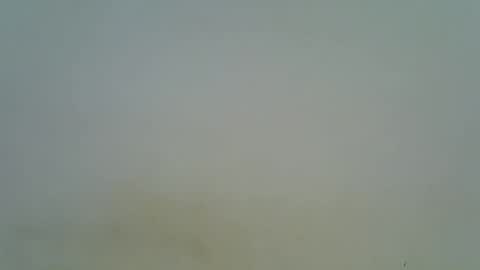 Snapshot of afronubians chatting on March 6, 8:37 pm afronubians online show from March 6, 8:37 pm